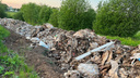 «Может произойти экологическая катастрофа»: у Плещеева озера в Переславле незаконно свалили кучи мусора