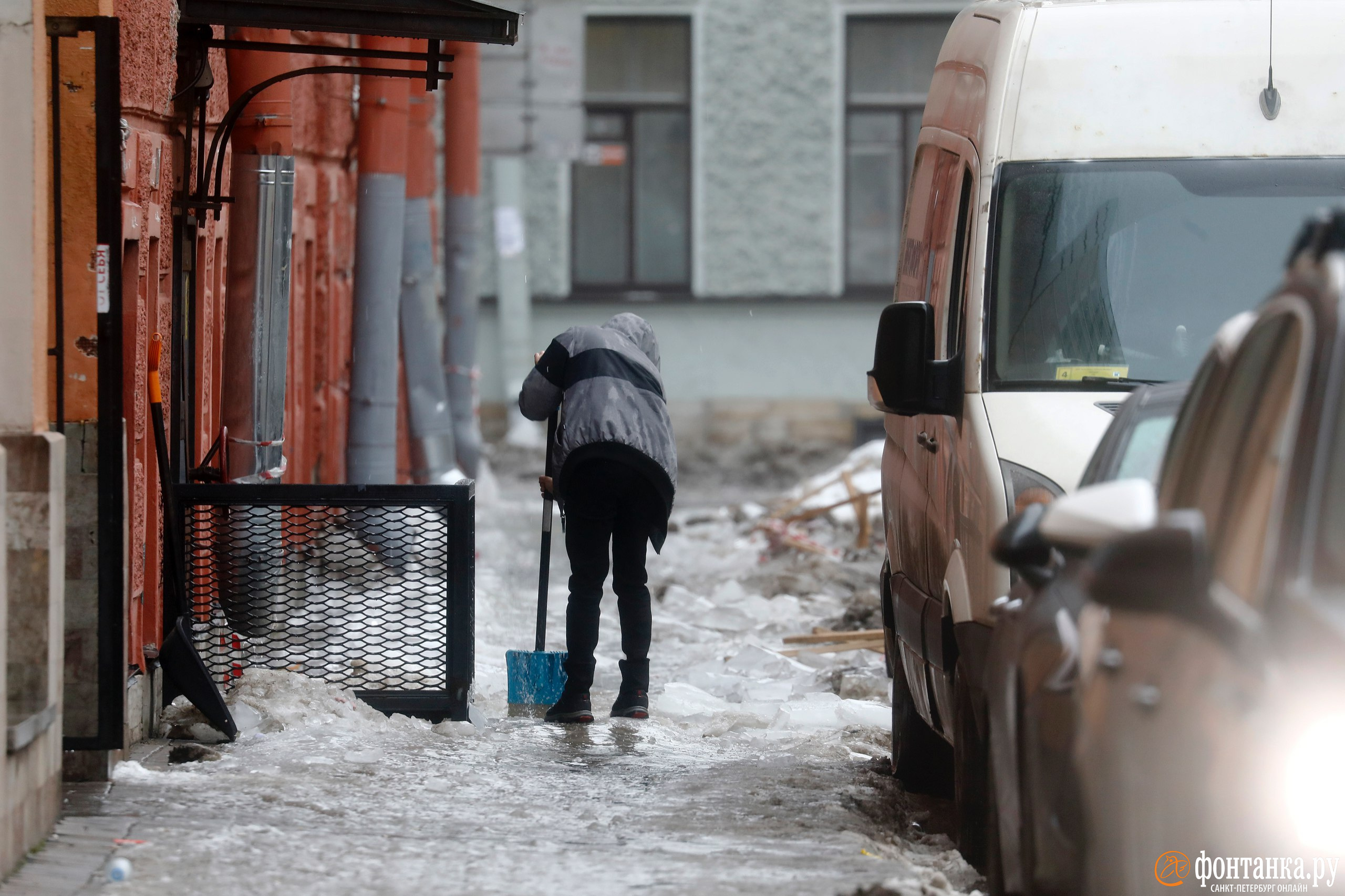 Оттепель в Петербурге - 19 декабря 2023 - ФОНТАНКА.ру