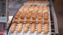 Цены на яйца в Новосибирской области выросли по сравнению с концом года