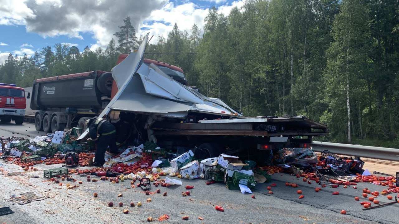 Фото лобового ДТП с самосвалом и «Газелью» на Киевском шоссе в Лужском  районе Ленобласти - 8 августа 2023 - ФОНТАНКА.ру