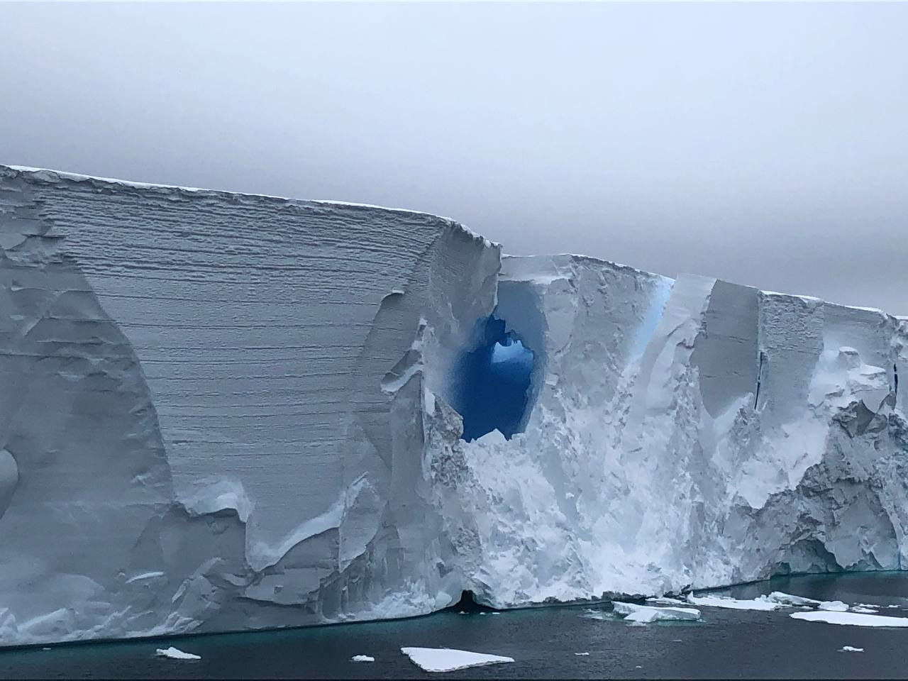 Как два Петербурга. Крупнейший в мире айсберг пришел в движение — ему скоро конец