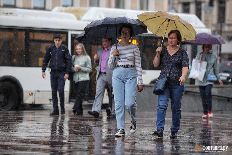 Грозы, туманы и дожди: синоптик обещает неспокойную неделю в Петербурге