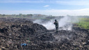 Бастрыкин потребовал разобраться с опасными мусорными полигонами на левобережье Новосибирска