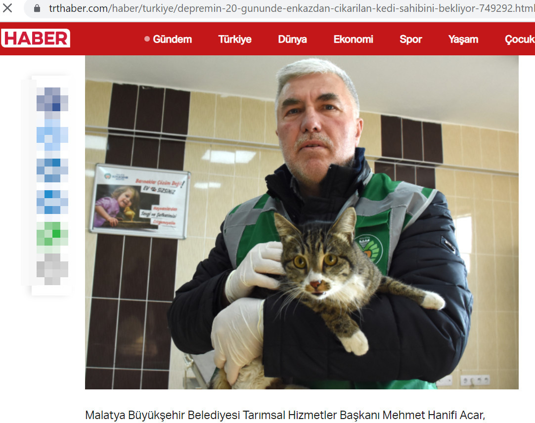 Кота спасли из-под завалов в Турции спустя 20 дней. Хозяин тоже жив, но уже далеко