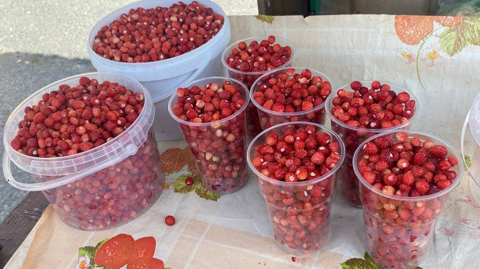 800 рублей за стакан земляники?! Где в Тюмени торгуют ягодами и сколько они стоят — обзор