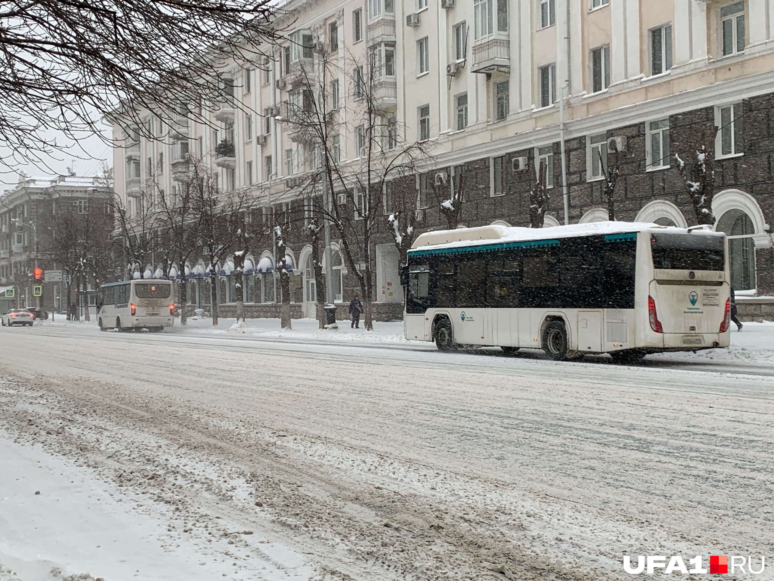 Такие снегопады автобусам не помеха