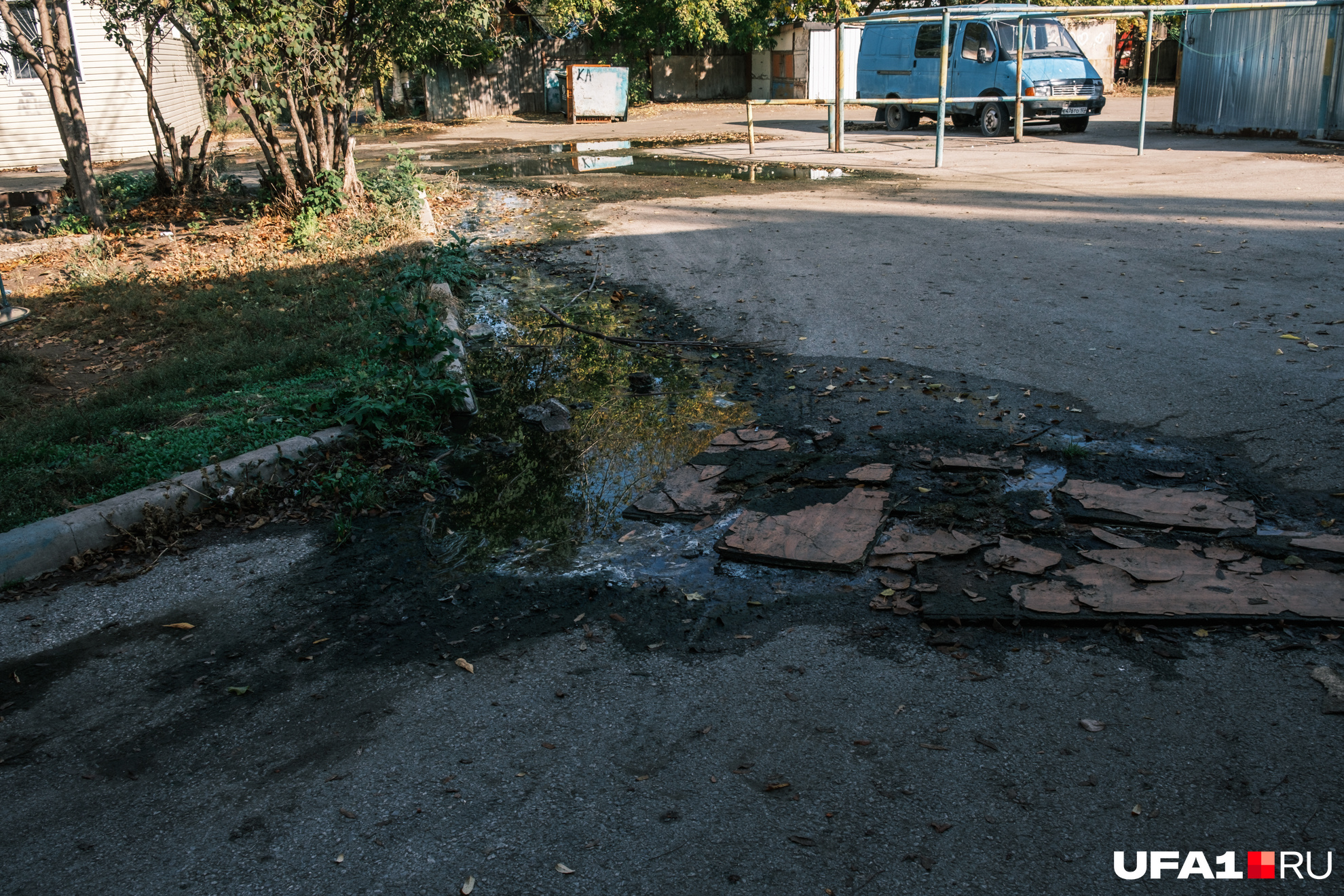 Врать не будем, пахнет отвратно