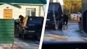 Видео с медведем, заглядывающим в окна, распространили в Новосибирской области — но это неправда