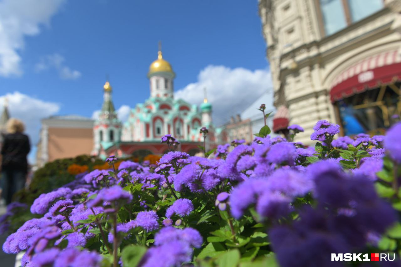 Фото на красной площади в москве