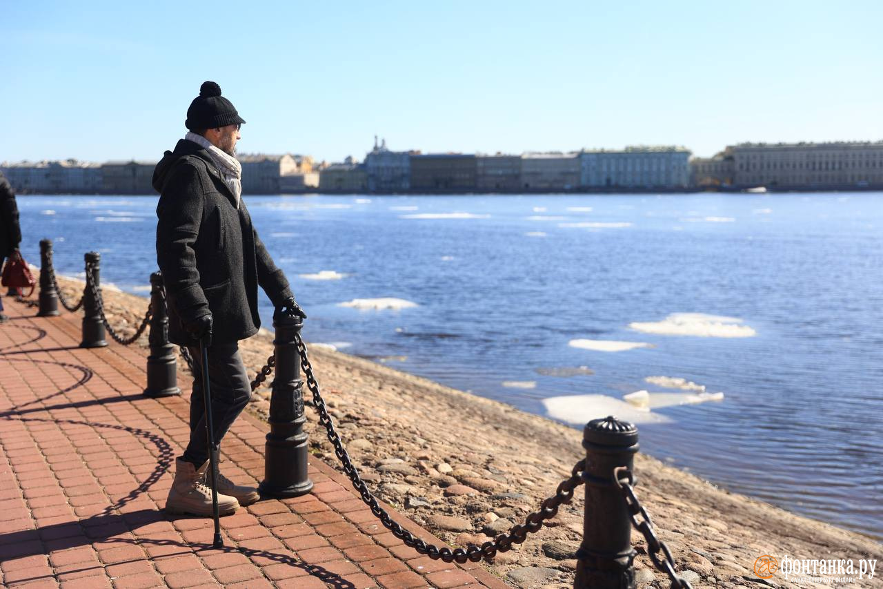 Купить приму спб. Весенний Петербург. Санкт-Петербург весной. Весенний Петербург 2018.