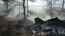 Появилось видео последствий лесного пожара в Тольятти