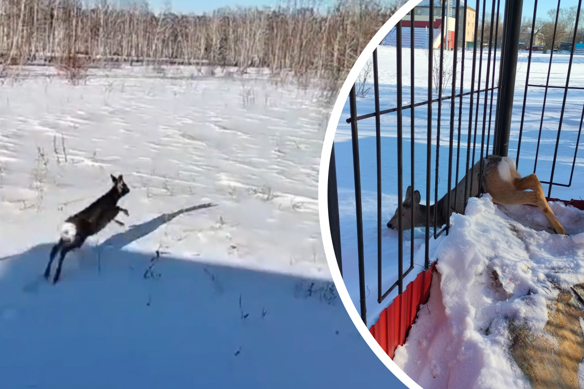 чему суждено случиться случится обязательно. ничто не бывает просто так. любовь бывает одна. приятные фразы. цитаты протискренность.