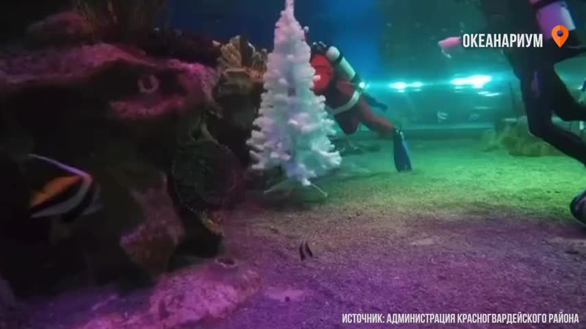 fd6d71b252b913326158227a6903e656085fb6d2