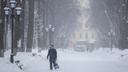 От одного взгляда снежинки почувствуете! Полюбуйтесь морозными кадрами метели в Ярославле