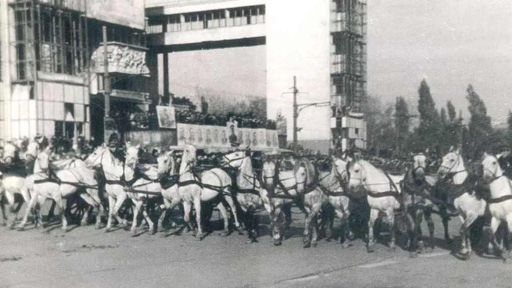 Кони, ЗИЛы, БТР: как проходил военный парад в Ростове в прошлом столетии