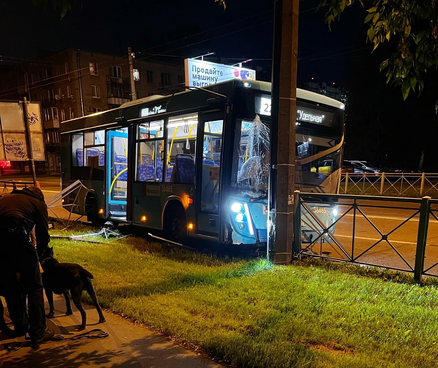 Лазурный автобус протаранил столб на Кондратьевском. Причиной называют не сон, а животное
