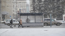 Легкий мороз и мокрый снег: какой будет погода в Новосибирске на выходных