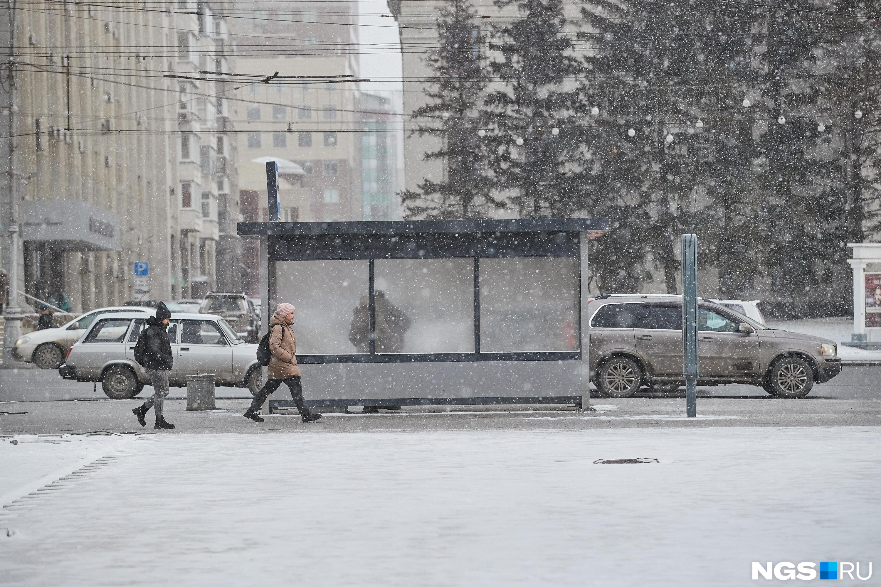 Погода в Новосибирске 25, 26, 27 ноября - 24 ноября 2023 - НГС