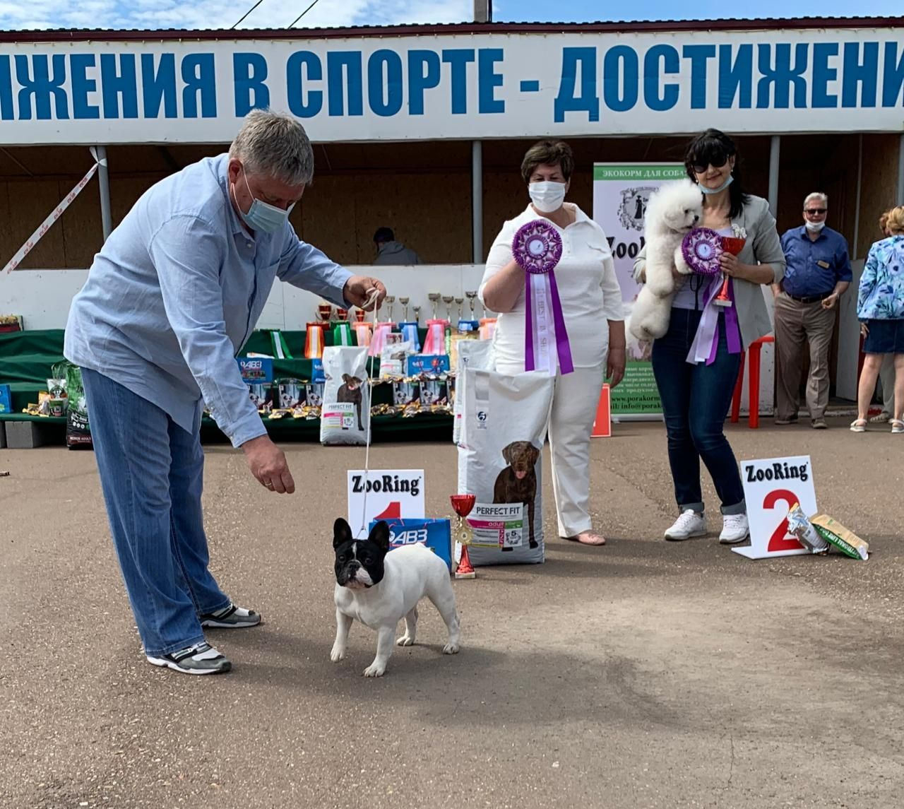 Буся занимала первые места на всех выставках Буся занимала первые места на всех выставках