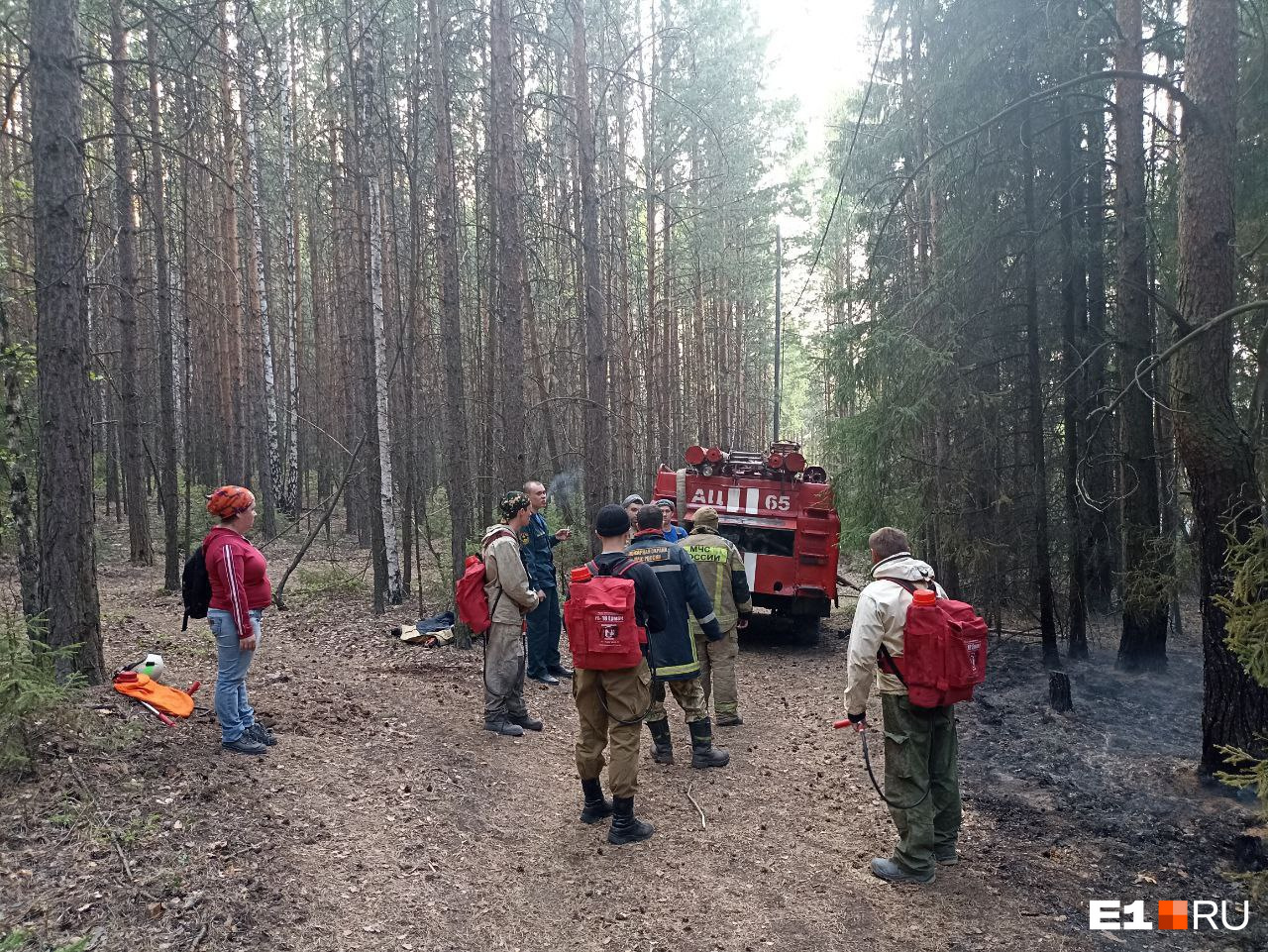 В горящем лесу на Урале пошел дождь. Волонтер снял видео — его эмоции не передать словами