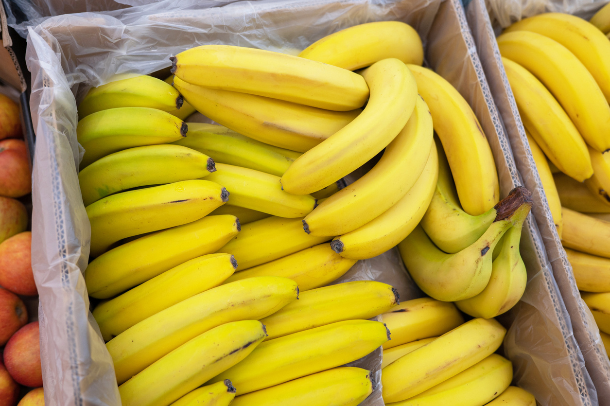 РБК: российских импортеров бананов предупредили о форс-мажоре из-за мятежа мафии в Эквадоре