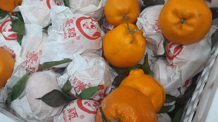 В Екатеринбурге стали продавать загадочные мандарины, о которых не знают даже ученые