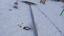 Из-за ветра в новосибирском дворе упал фонарь — еще несколько шатающихся столбов попали на видео
