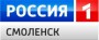 Логотип канала: Россия 1