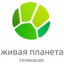 Логотип канала: Живая планета