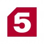 Логотип канала: Пятый канал